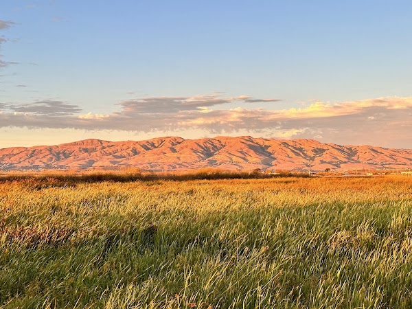 Alviso Marina County Park 6