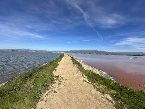 Alviso Marina County Park 3