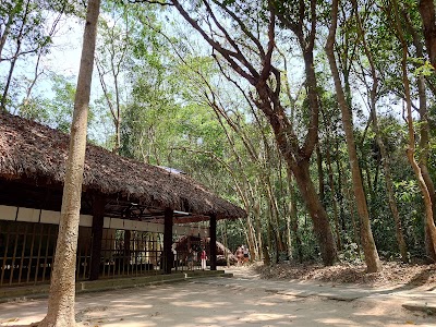 Cu Chi Tunnel