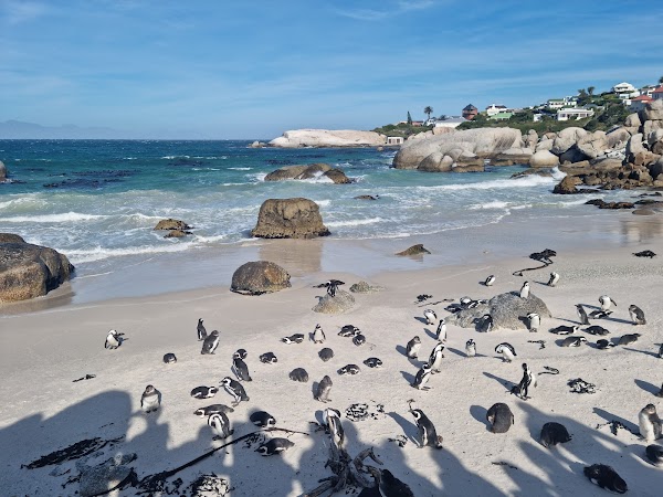 Boulders Beach 1