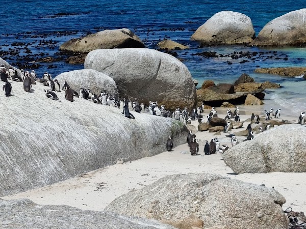 Boulders Beach 4