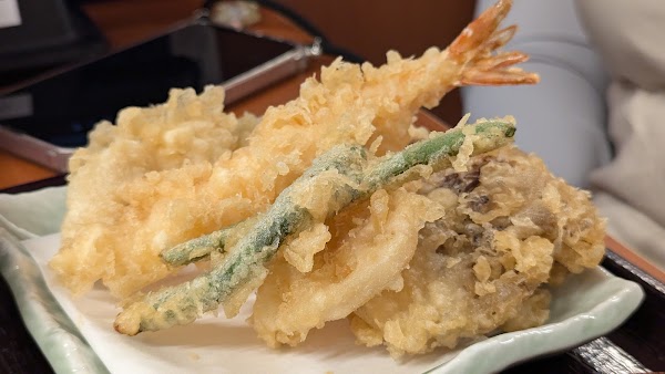 Tendon Tenya 4