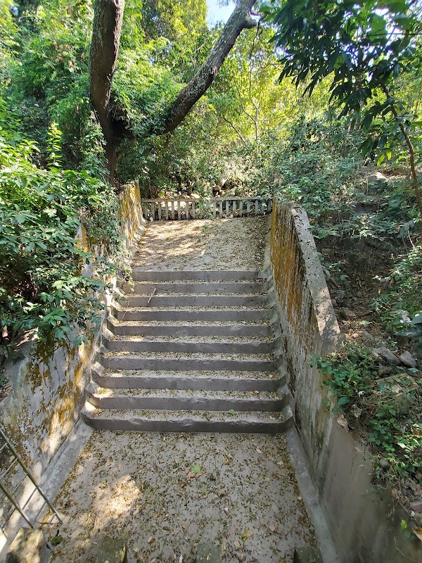 Lung Fu Shan Morning Trail 5