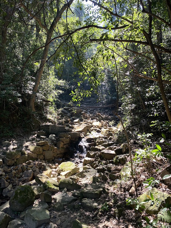 Lung Fu Shan Morning Trail 3