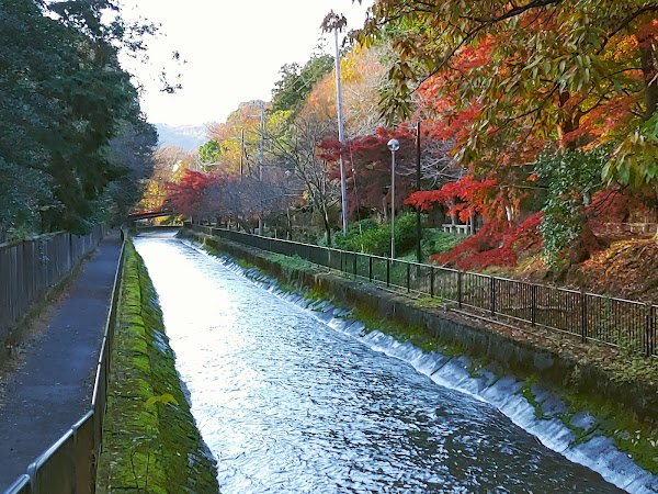 Yamashina Canal 2