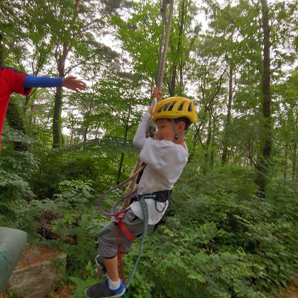 Yongin Forest