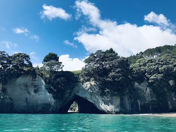 Coromandel Peninsula 1