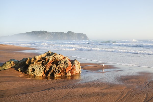 Coromandel Peninsula 4