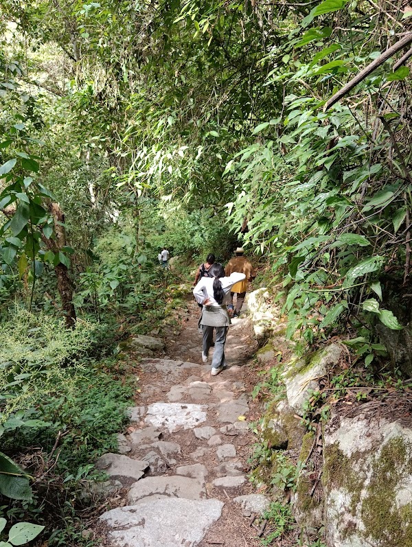 CAMINO A MACHU PICCHU 5