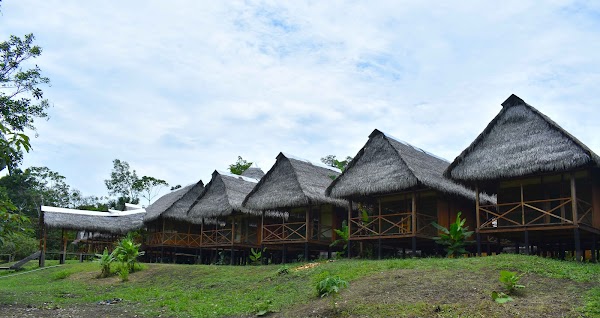 Amazon Wildlife Adventures