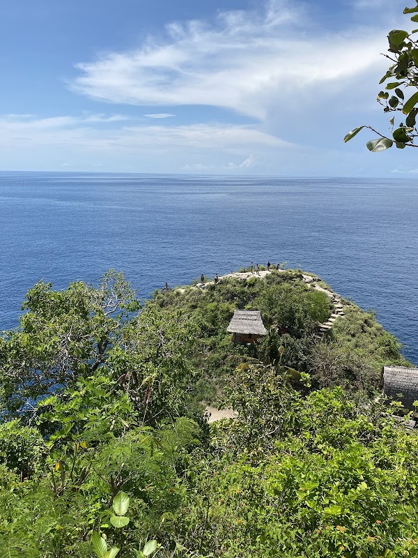 Rumah Pohon "Tree House" 5