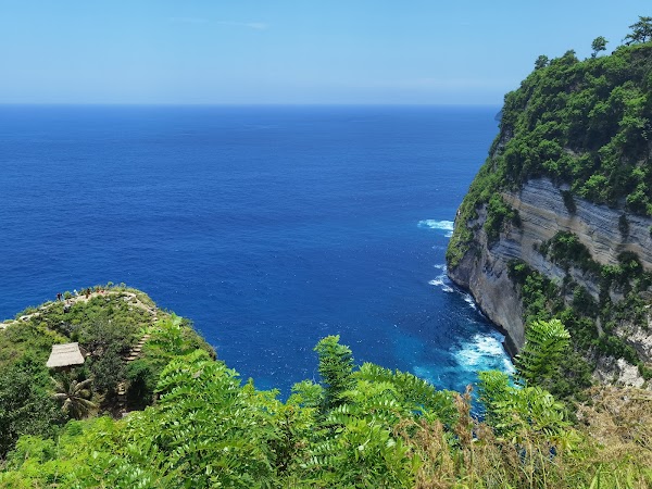 Rumah Pohon "Tree House" 4