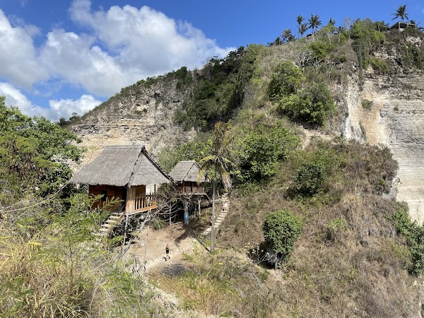 Rumah Pohon "Tree House" 3