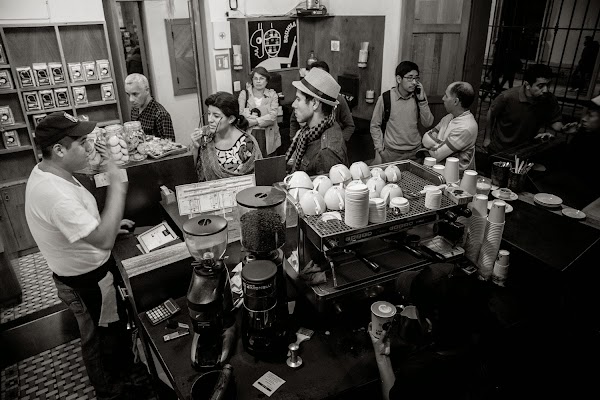 Café Brújula Alcalá | Café de Especialidad de Oaxaca, México