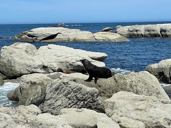 Point Kean Viewpoint 5