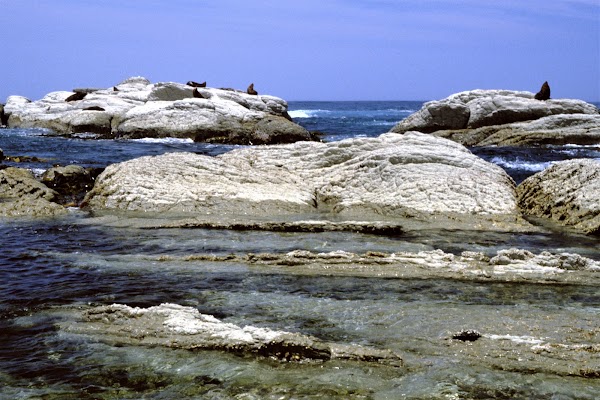 Point Kean Viewpoint 4