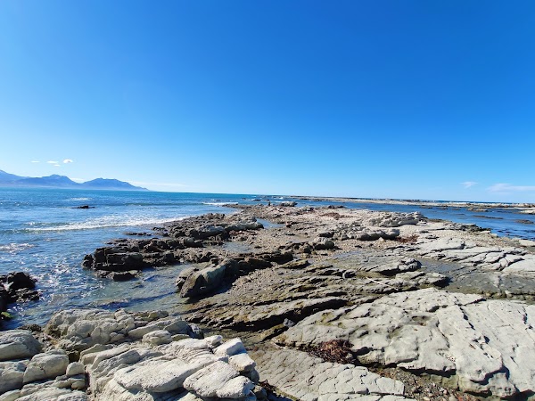 Point Kean Viewpoint 3