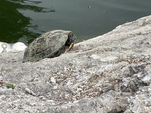 Giardini Margherita 3