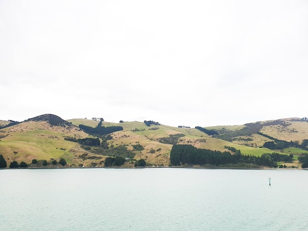 Otago Peninsula 5