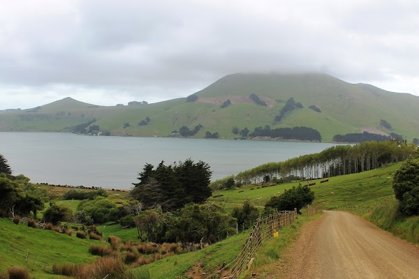 Otago Peninsula 3