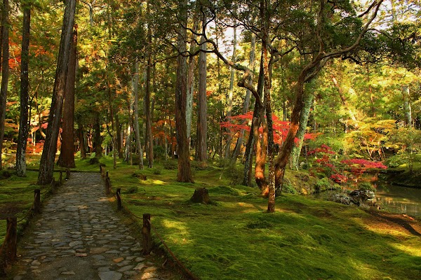 Saiho-ji (Koke-dera) 5