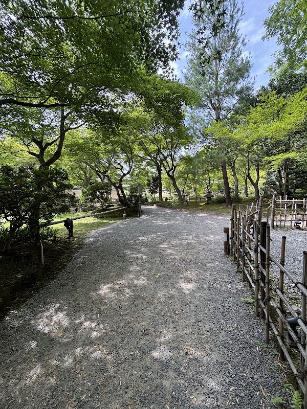Kōdai-ji Temple Bamboo Forest 5