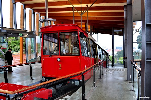 Wellington Cable Car 4