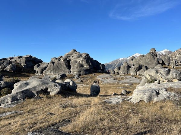 Castle Hill / Kura Tawhiti Conservation Area