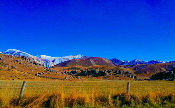 Castle Hill / Kura Tawhiti Conservation Area 3