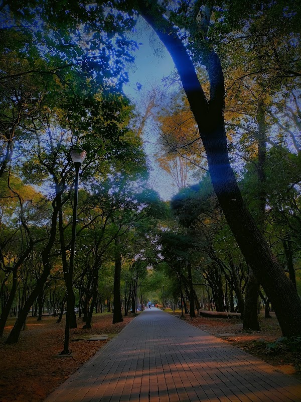 Bosque de Chapultepec 3