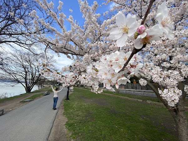 Hudson River Greenway