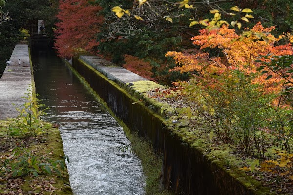 Nanzen-ji Suirokaku 3
