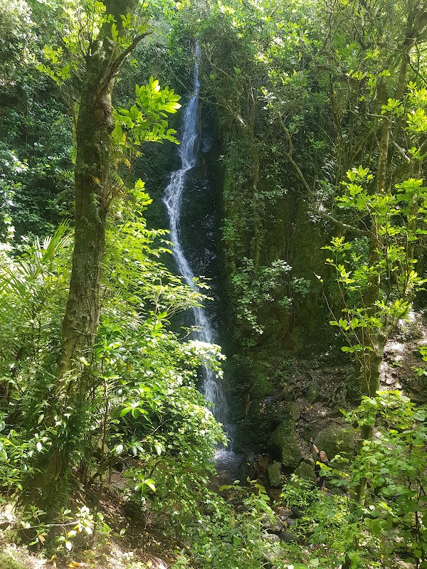 Percy Scenic Reserve Waterfall