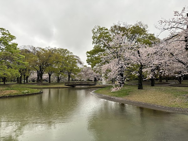 Yoyogi Park 1