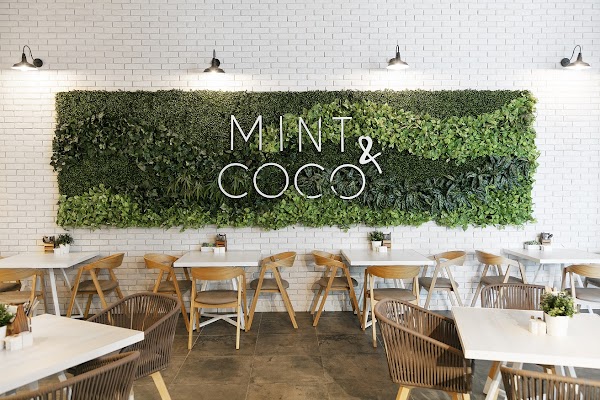Mint & Coco 1