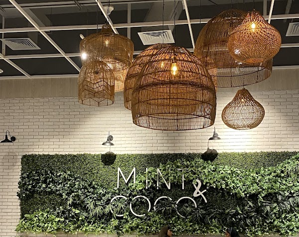 Mint & Coco 4