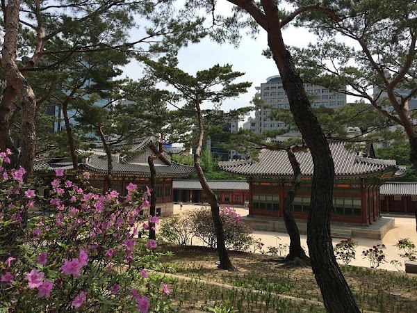 Junghwajeon Hall 2