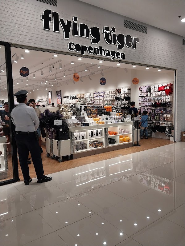 Flying Tiger Copenhagen U.P. Town Center