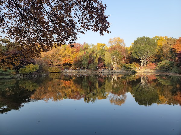 Changgyeonggung Palace 4