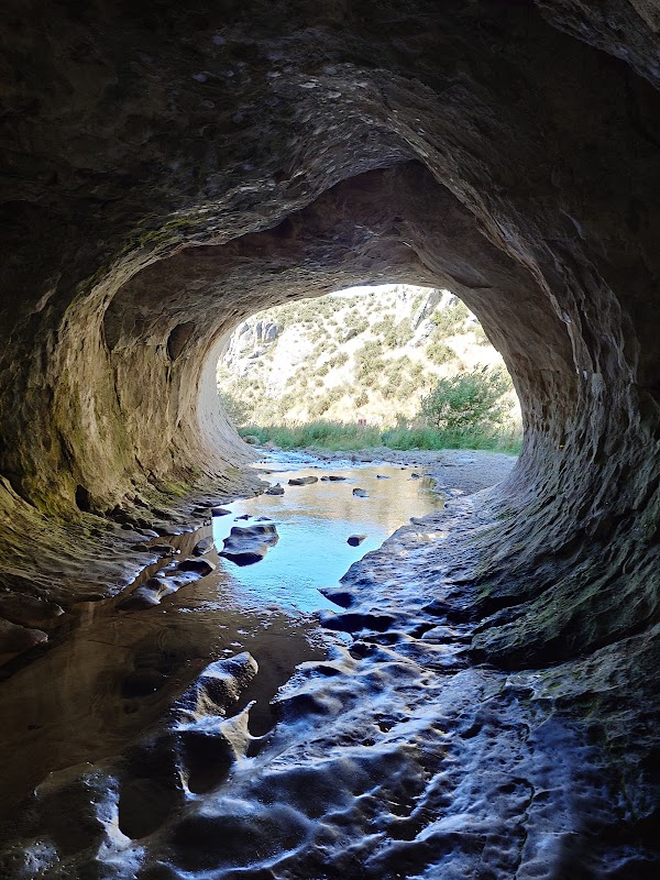 Cave Stream Scenic Reserve 1