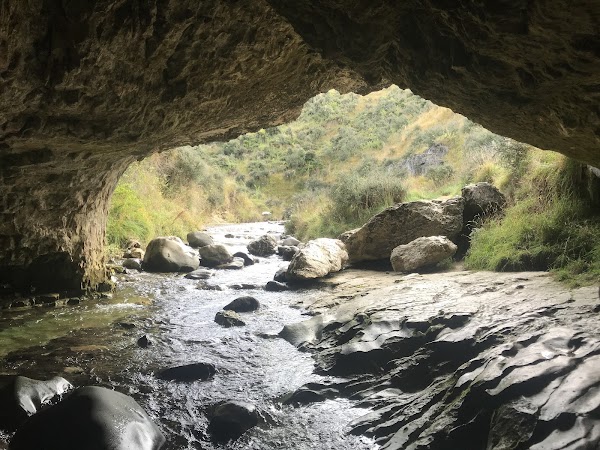 Cave Stream Scenic Reserve 5