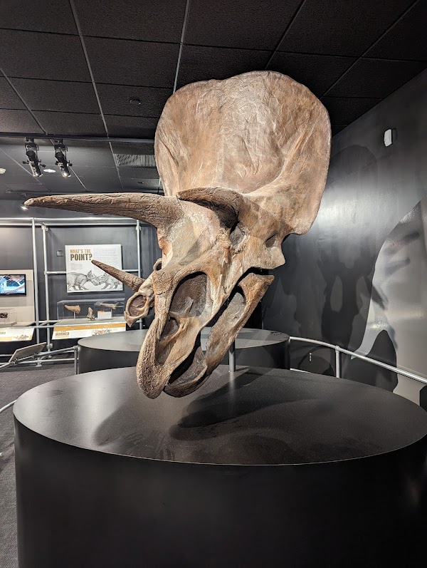 American Museum of Natural History Dinosaur Gallery