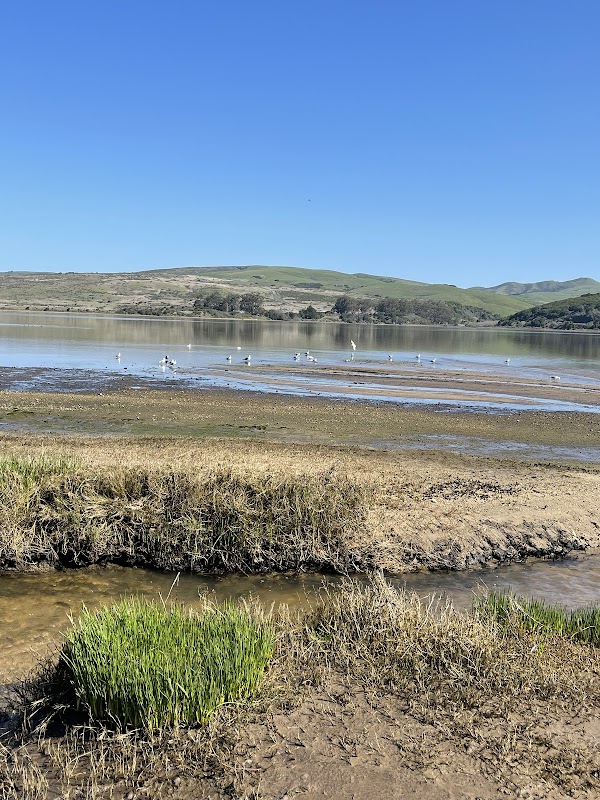 Point Reyes Shipwrecks 5