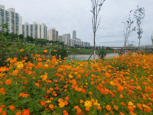 Anyangcheon Stream Entrance