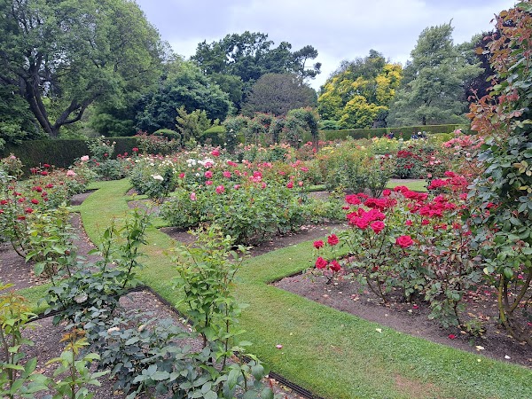 Christchurch Botanic Gardens 1