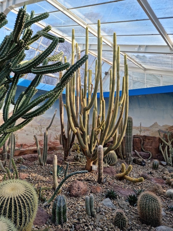 Christchurch Botanic Gardens 3