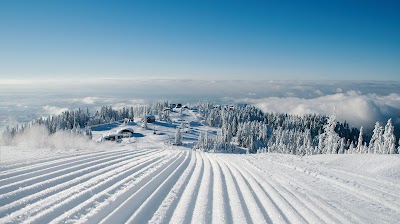 Grouse Mountain 2