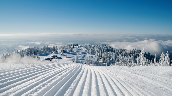 Grouse Mountain 1