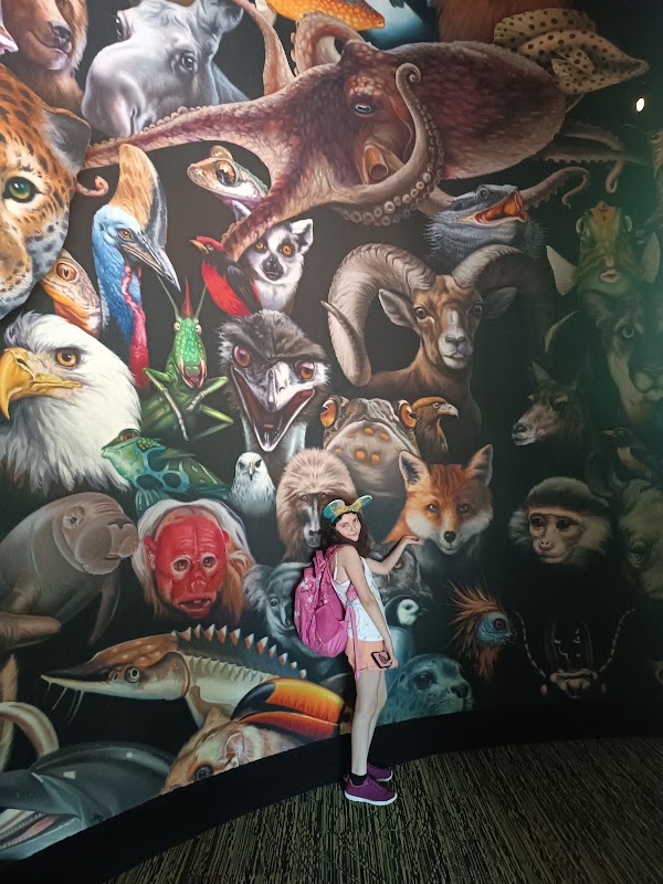 Conservation Station 5