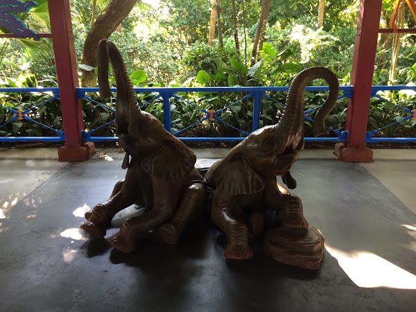 Conservation Station 4